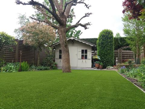 Tuin in Aalst met kunstgras rond een oude boom, voor een houten tuinhuis met borders