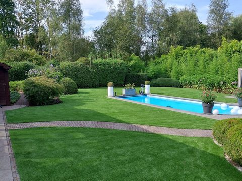 Kunstgras rond een zwembad met borders en snoeivormen in de provincie Antwerpen