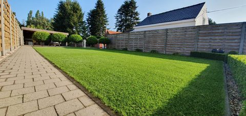 Lange tuin met kunstgras naast een klinkerpad en snoeivormen in Blankenberge
