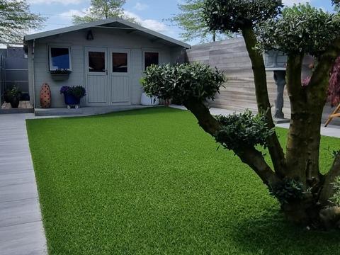 Tuin met kunstgras, tuinhuis en een olijfboom in de border