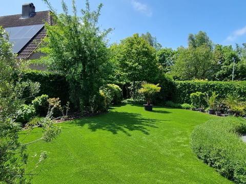 Ruime tuin met kunstgras, beplante randen en een palm in pot in Damme