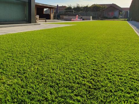 Zij- en achtertuin met kunstgras naast een moderne woning met overdekt terras in Eeklo