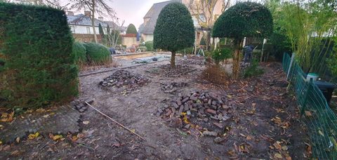 Uitgebroken klinkers en uitgegraven grond rond gespaarde snoeivormen in Knokke-Heist