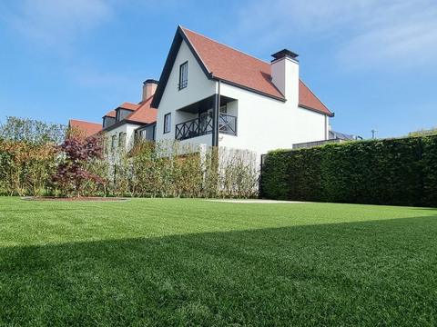 Kunstgrasgazon met beukenhaag bij een witte villa in Knokke-Heist