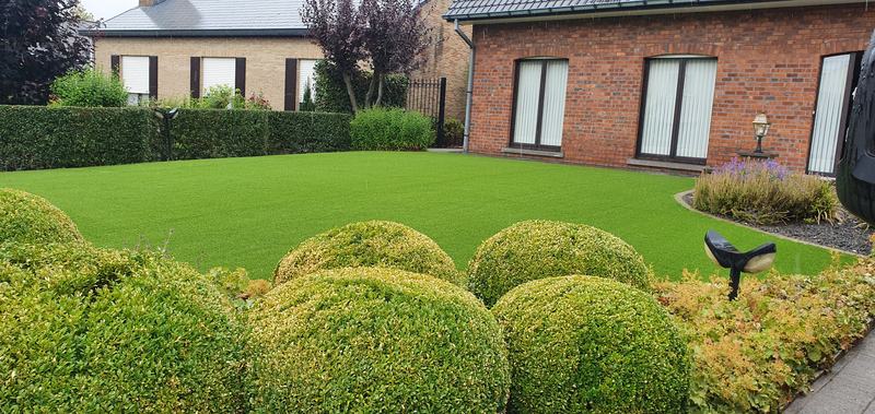 Voortuin met kunstgras achter een rij buxusbollen bij een woning in Oedelem
