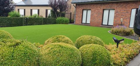 Voortuin met kunstgras en buxusbollen in Oedelem