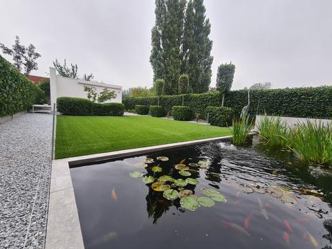 Rechthoekige koivijver met waterlelies en koi, naast een strak vlak kunstgras met hagen en zuilen