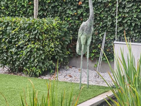 Bronzen reiger op het kunstgras langs een koivijver, met klimop en gras achter