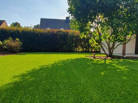 Kunstgrasgazon met een boom en hoge haag in de Leiestreek