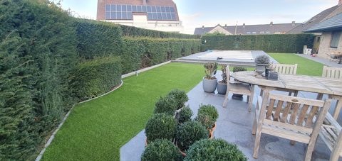 Tuin in Waregem met kunstgras langs een taxushaag en een afgedekt zwembad
