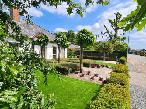 Jardin de façade avec gazon artificiel et topiaires le long de la rue, à Zelzate