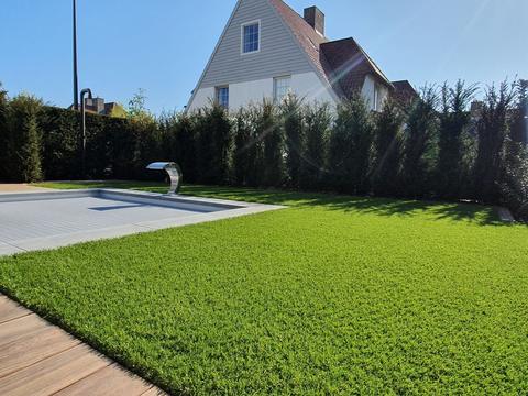 Kunstgras rond een zwembad met houten terras in Knokke